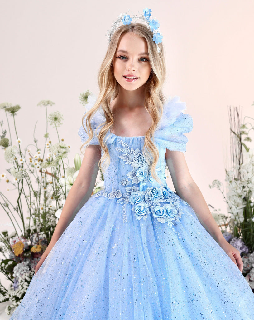 HAWEE Princess Dress for Girls - Velvet Faux Fur Collar Long Sleeves Elsa  Costume with Snowflake Cape Birthday Party Outfits - Walmart.com